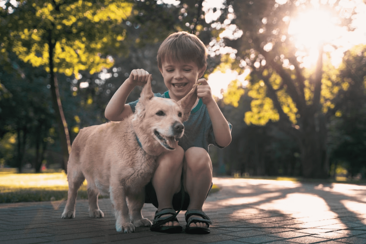 Дети младше 5 лет путают эмоции собак